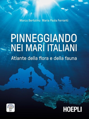Pinneggiando nei mari